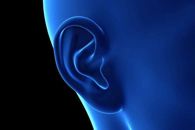 پرورش گوش شبیه به گوش انسان با چاپ 3بعدی در بدن موش ها