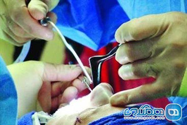 جراحی بینی در چه صورت با عارضه همراه است؟ جراحی بینی در چه صورت با عارضه همراه است؟