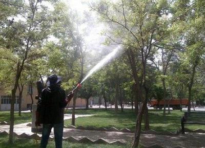 ایجاد کسب و کار در حوزه آفات شهری
