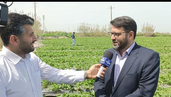با حضور فرماندار جویباراولین برداشت توت فرنگی استان مازندران با حضور فرماندار جویباراولین برداشت توت فرنگی استان مازندران درشهرستان جویبارانجام شد