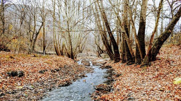 معرفی روستای ابرده در مجاورت مشهد