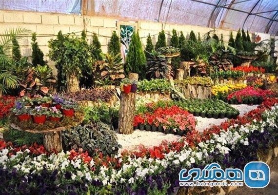 شهرستان پاکدشت به منطقه نمونه گردشگری گل و گیاه تبدیل می گردد