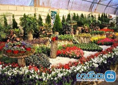 شهرستان پاکدشت به منطقه نمونه گردشگری گل و گیاه تبدیل می گردد
