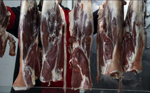 زنگ خطر بازار گوشت قرمز به صدا در آمد